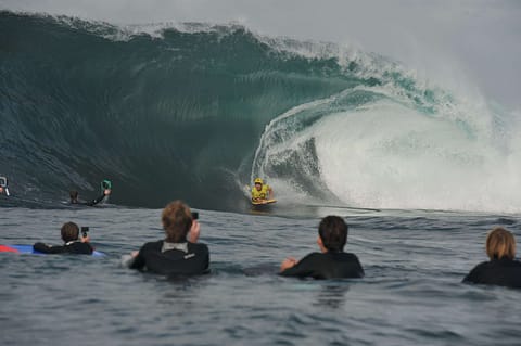Benny Sawyer wins the Shark Island Challenge 2026